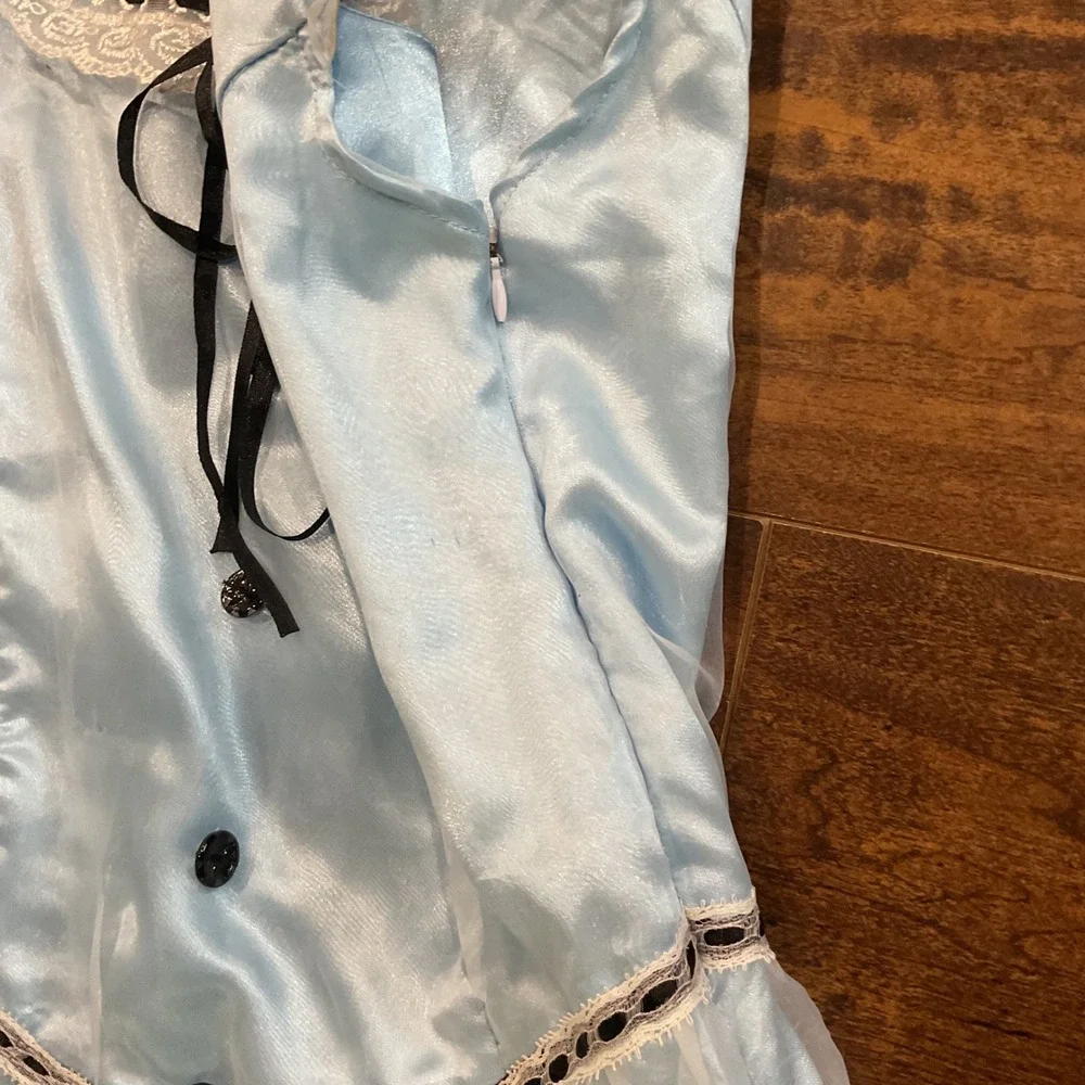 Alice in Wonderland Costume Dress Kids Large Blue Satin Lace Heart Rose 00659V